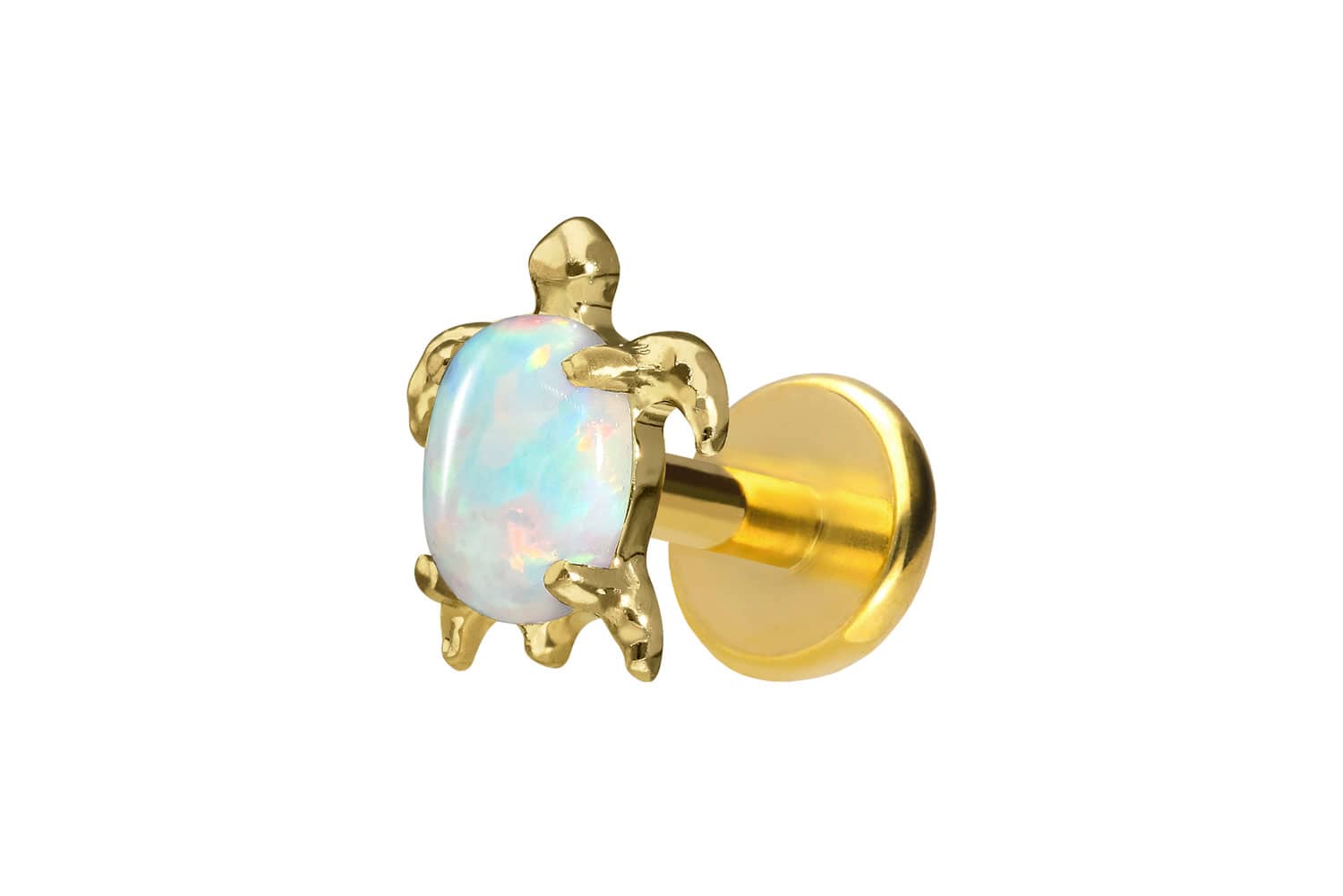 Titan Labret Piercing mit Push Fit SCHILDKRÖTE